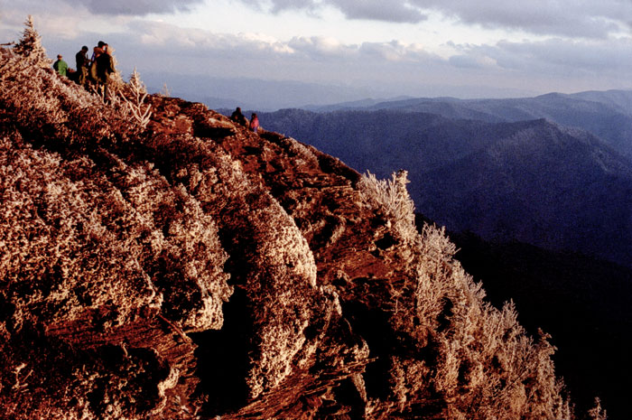 Mt. Leconte after a freezing rain