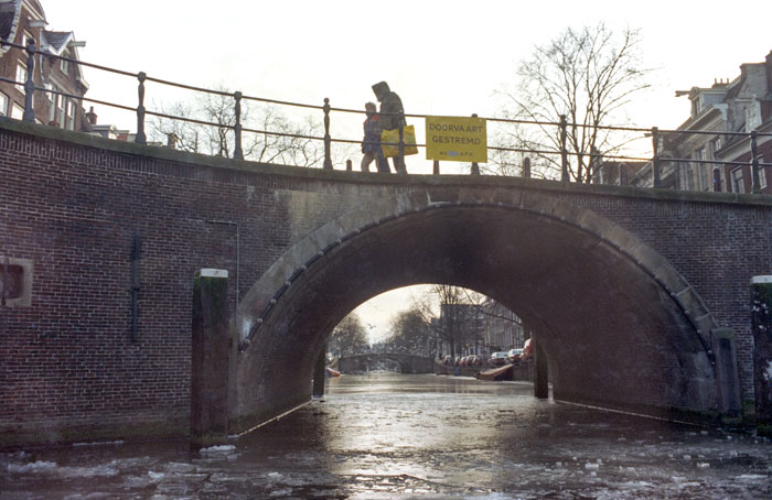 One of the ring canals