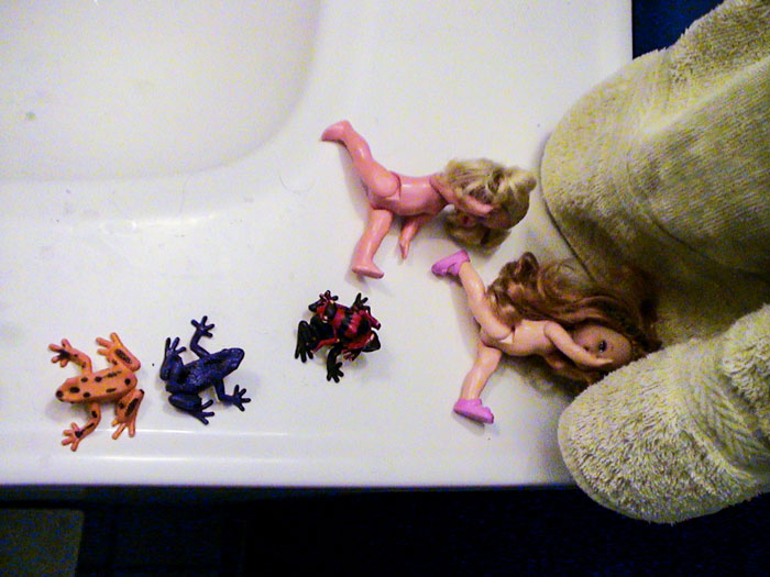 Garrison Sink toys