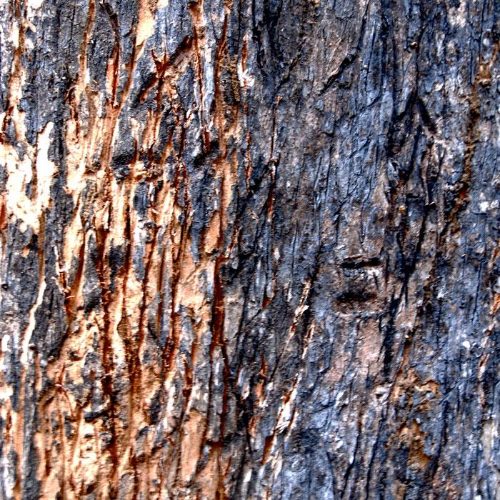 Big cat scratching post detail