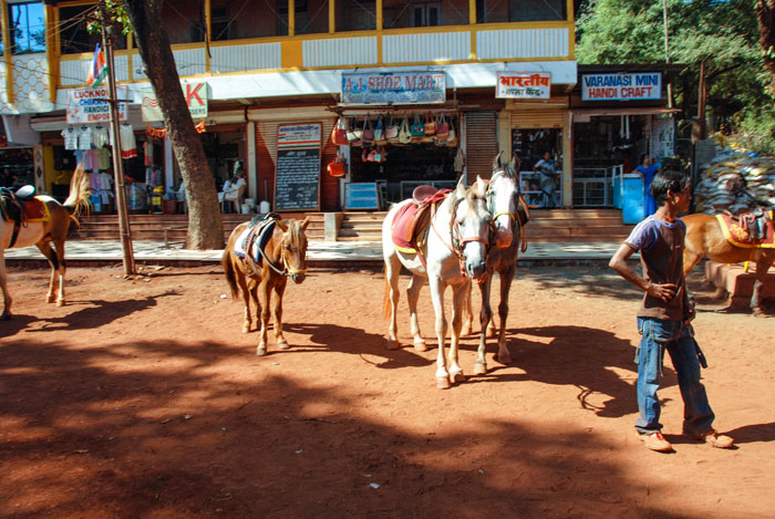 Horses, as cars are prohibited on the Matheran plateau