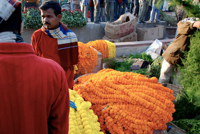 Morning flower market