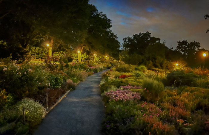 Heather Garden Fort Tryon Park